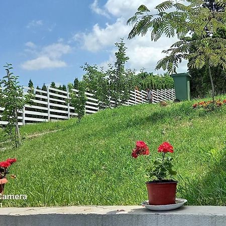 Fruskogorska Idila Apartmani Vrdnik Esterno foto