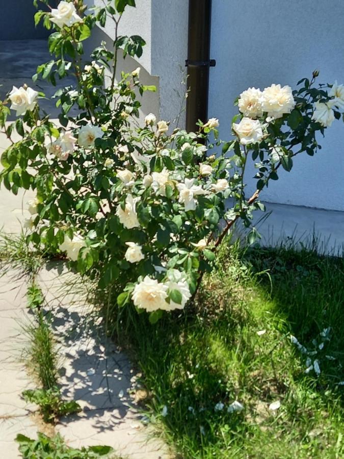 Fruskogorska Idila Apartmani Vrdnik Esterno foto
